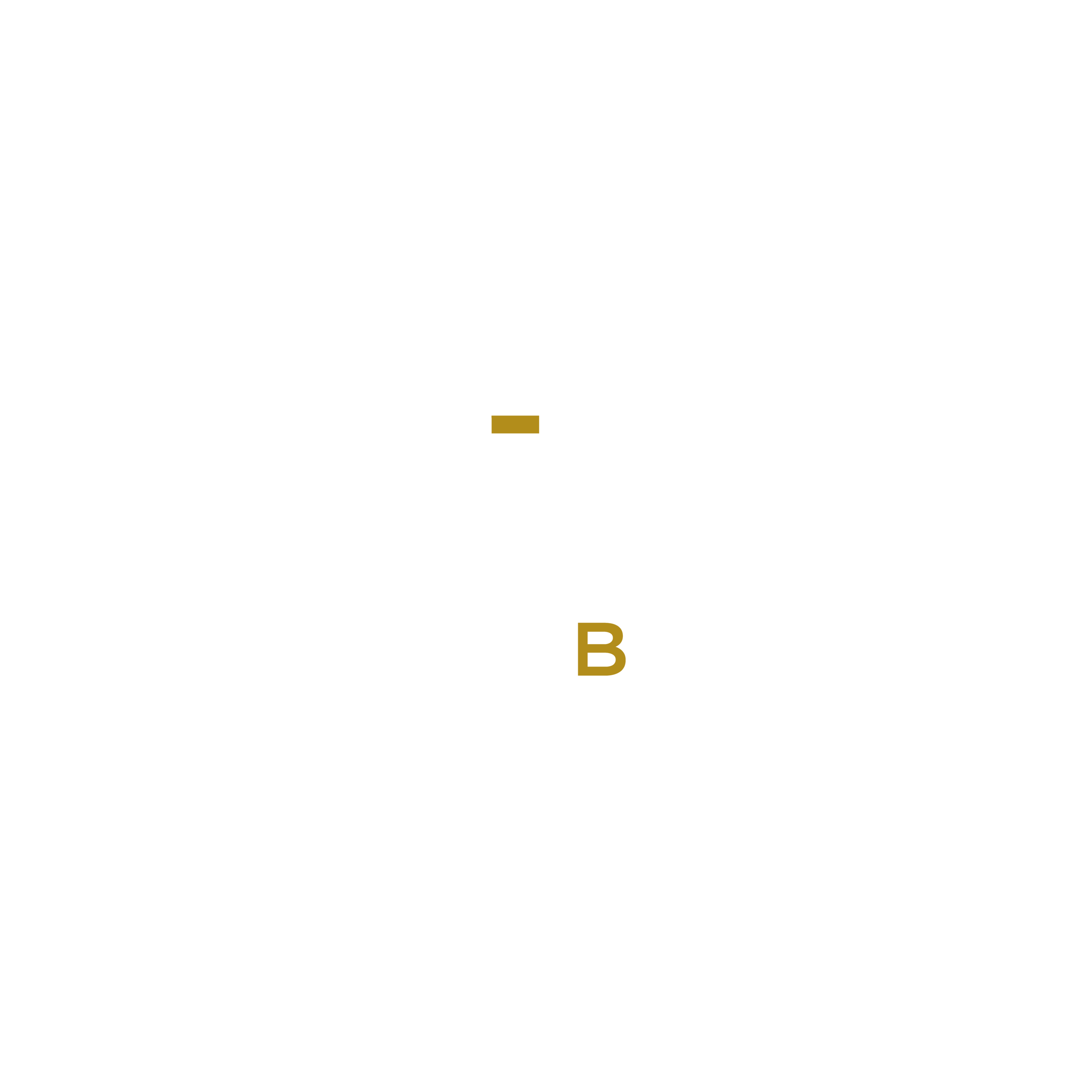BOB BOT